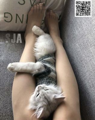 金瓶悔1一5扬思敏免费观看