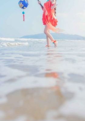 玫瑰电视剧