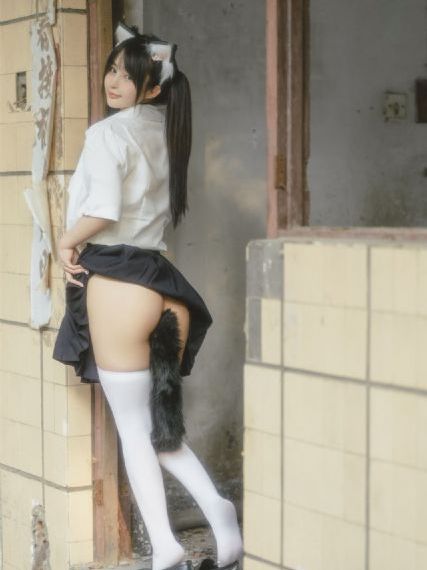 静物的记忆免费观看