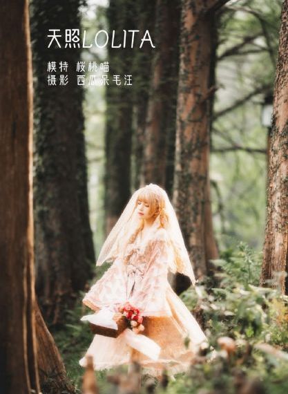 魔兽1～4集在线观看动漫