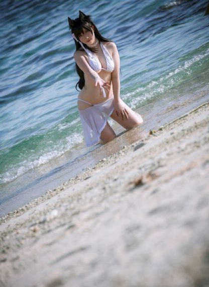 电视剧征服