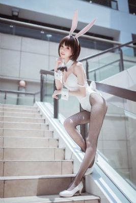 十五年等待候鸟电视剧免费观看
