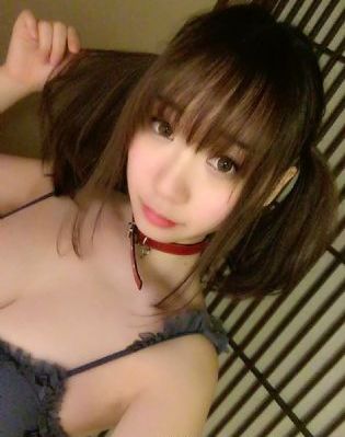 短剧蛇园全集免费播放